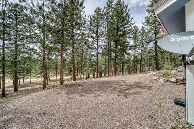 453 Black Fawn Lane Westcliffe, CO 81252