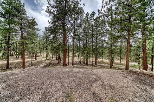 453 Black Fawn Lane Westcliffe, CO 81252
