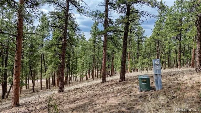 453 Black Fawn Lane Westcliffe, CO 81252
