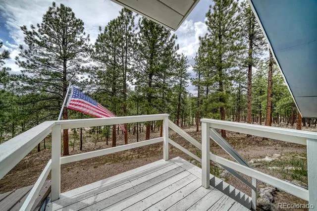 453 Black Fawn Lane Westcliffe, CO 81252