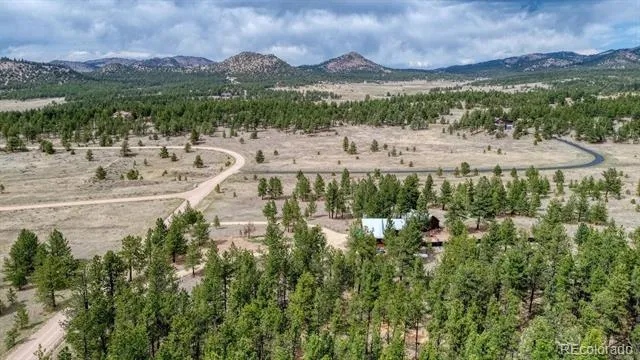 453 Black Fawn Lane Westcliffe, CO 81252