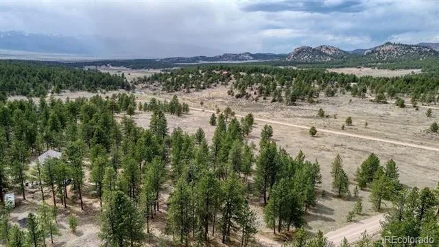 453 Black Fawn Lane Westcliffe, CO 81252