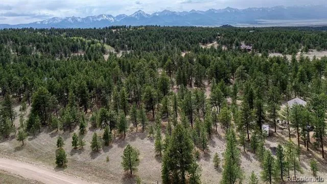 453 Black Fawn Lane Westcliffe, CO 81252