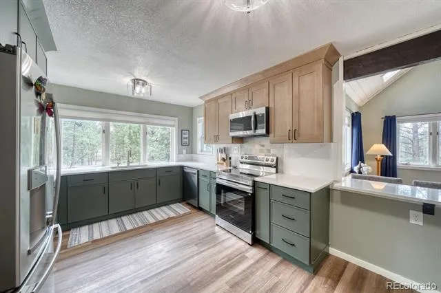 453 Black Fawn Lane Westcliffe, CO 81252