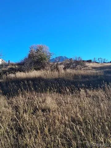 E Grand La Veta, CO 81055