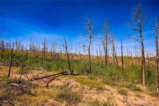 362 Soubry Place Fort Garland, CO 81133