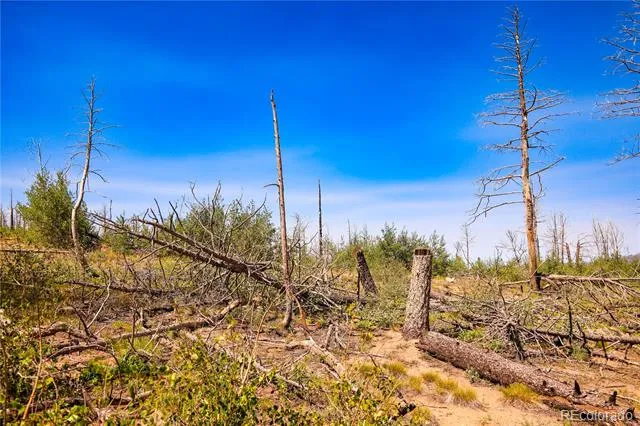 362 Soubry Place Fort Garland, CO 81133