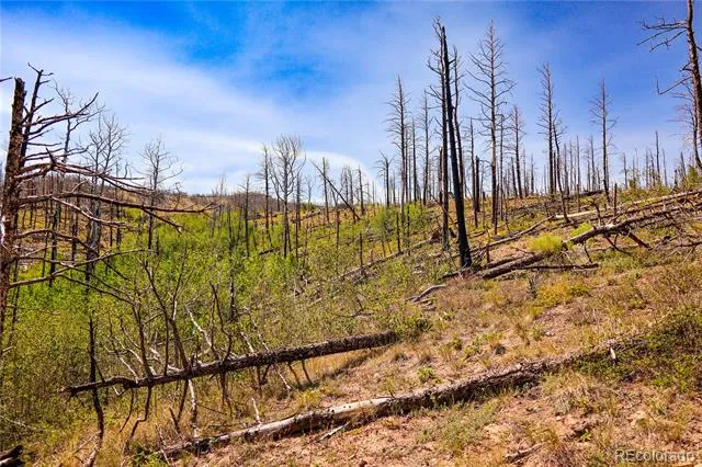 362 Soubry Place Fort Garland, CO 81133