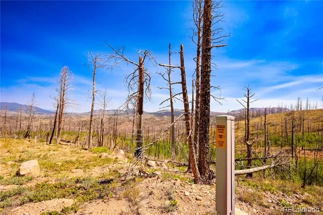 362 Soubry Place Fort Garland, CO 81133