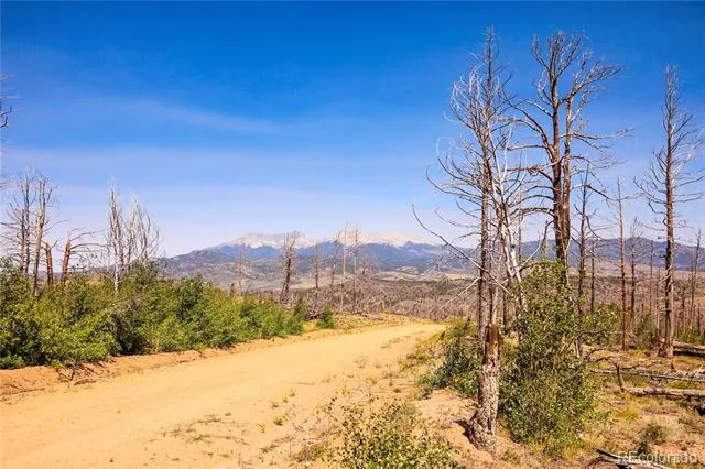 362 Soubry Place Fort Garland, CO 81133
