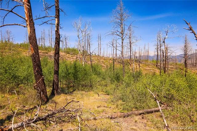 362 Soubry Place Fort Garland, CO 81133