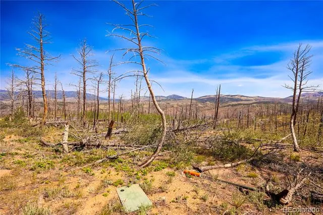 362 Soubry Place Fort Garland, CO 81133