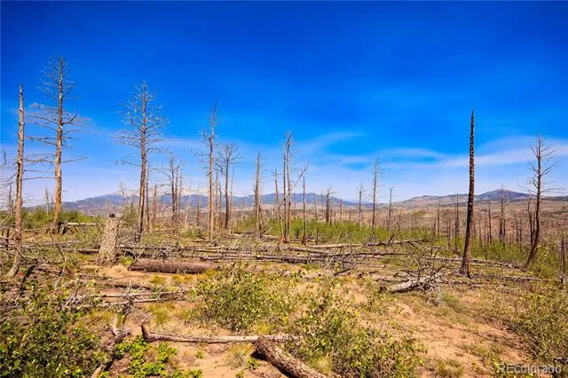 362 Soubry Place Fort Garland, CO 81133