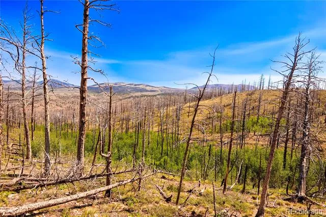 362 Soubry Place Fort Garland, CO 81133