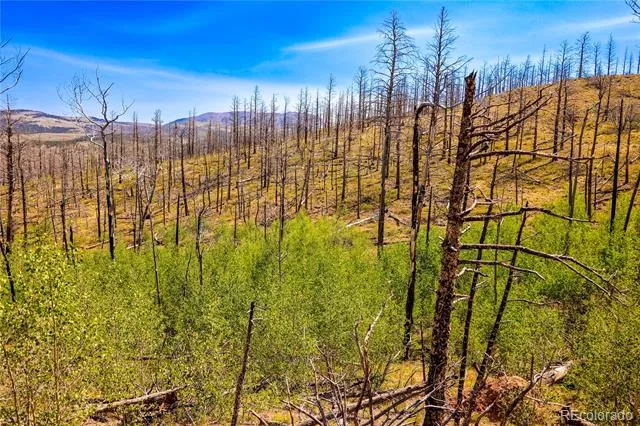 362 Soubry Place Fort Garland, CO 81133