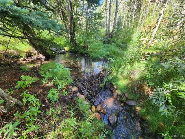 531 Caribou Road Nederland, CO 80466