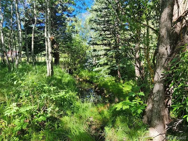 531 Caribou Road Nederland, CO 80466