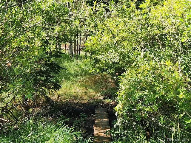 531 Caribou Road Nederland, CO 80466