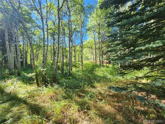 531 Caribou Road Nederland, CO 80466