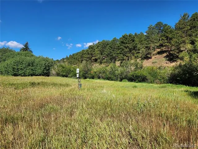 531 Caribou Road Nederland, CO 80466