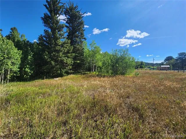 531 Caribou Road Nederland, CO 80466