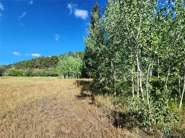 531 Caribou Road Nederland, CO 80466