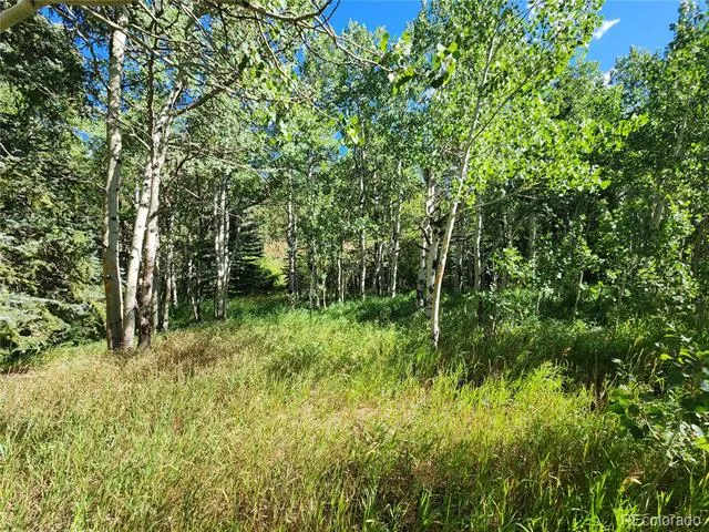 531 Caribou Road Nederland, CO 80466