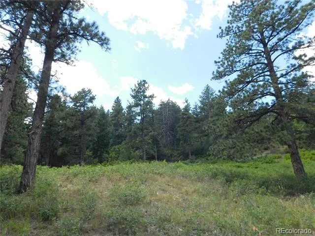 8055 Acoma Drive Larkspur, CO 80118