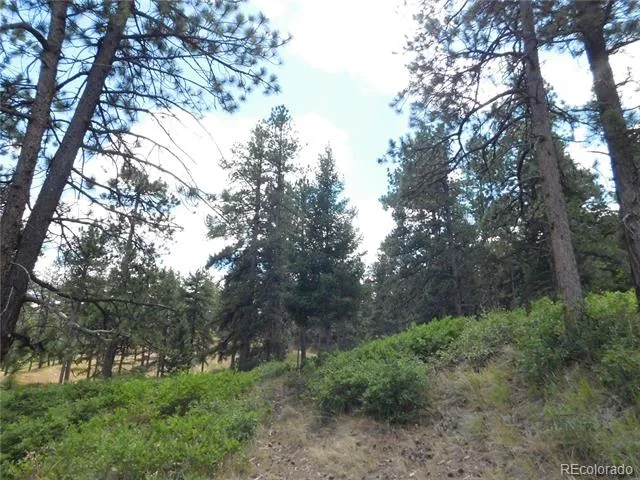 8055 Acoma Drive Larkspur, CO 80118