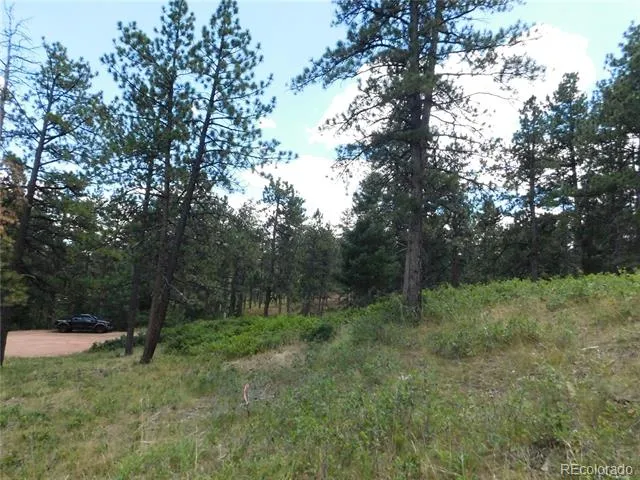 8055 Acoma Drive Larkspur, CO 80118