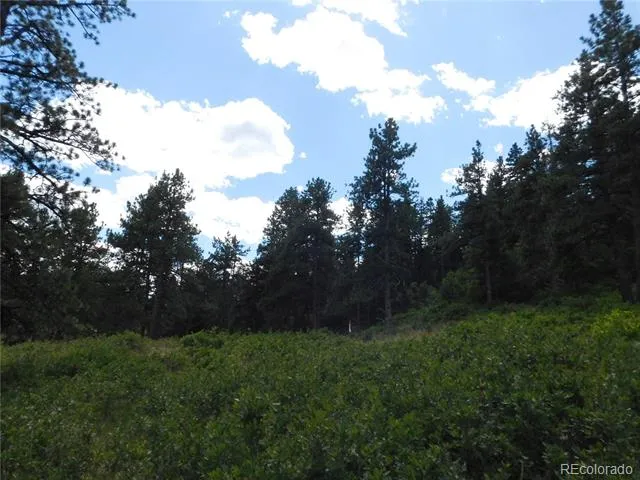 8055 Acoma Drive Larkspur, CO 80118