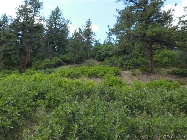 8055 Acoma Drive Larkspur, CO 80118