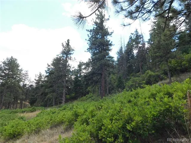8055 Acoma Drive Larkspur, CO 80118