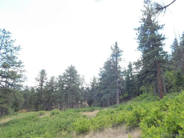 8055 Acoma Drive Larkspur, CO 80118