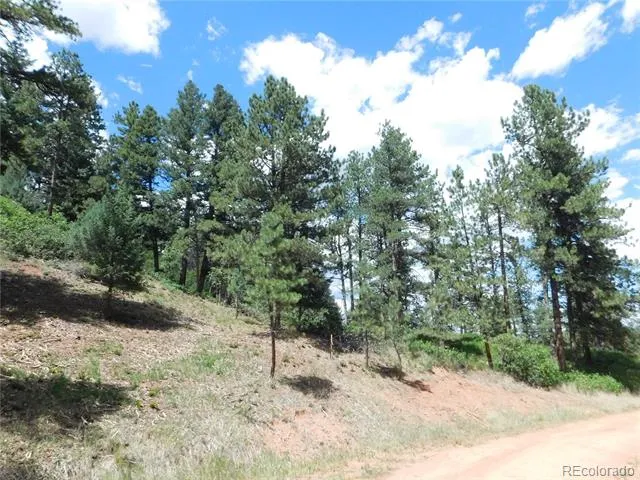 8055 Acoma Drive Larkspur, CO 80118