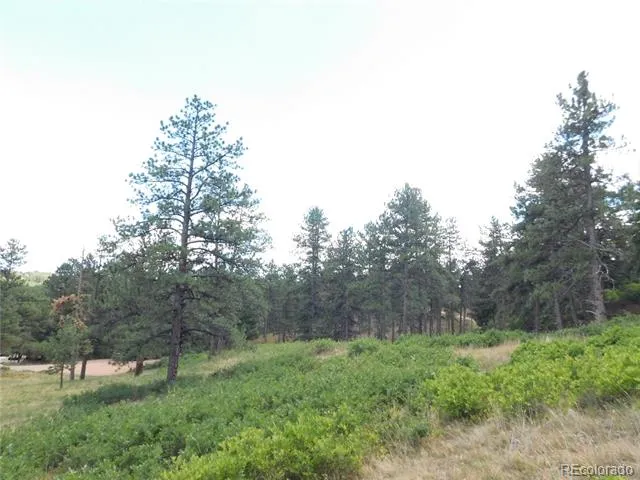 8055 Acoma Drive Larkspur, CO 80118