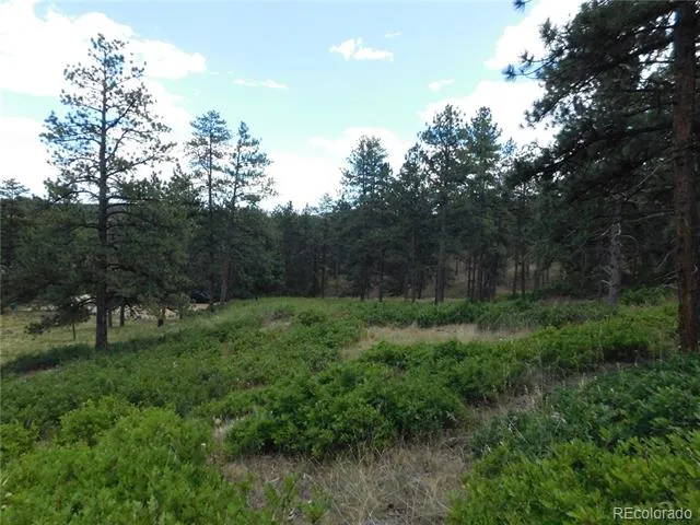 8055 Acoma Drive Larkspur, CO 80118
