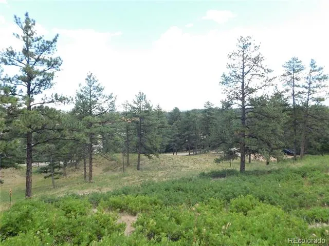 8055 Acoma Drive Larkspur, CO 80118