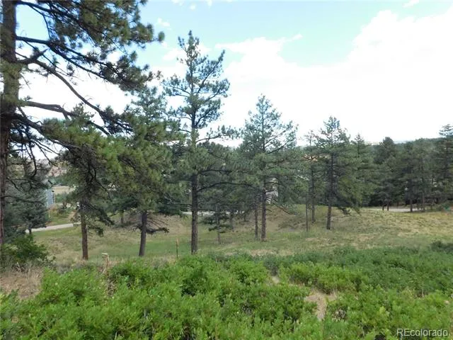 8055 Acoma Drive Larkspur, CO 80118
