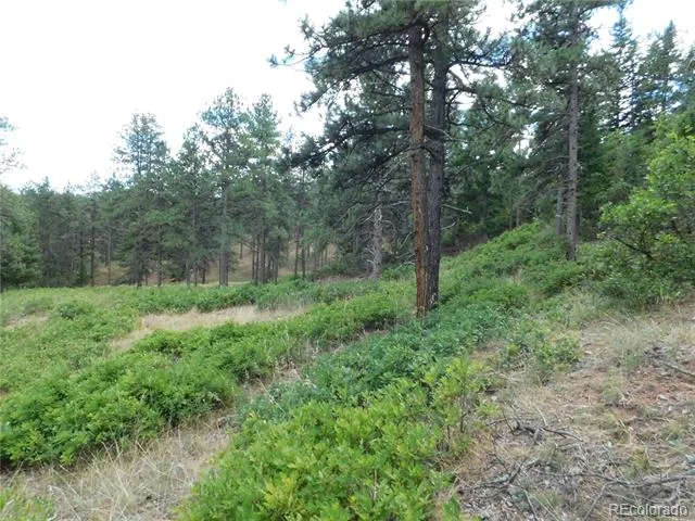 8055 Acoma Drive Larkspur, CO 80118