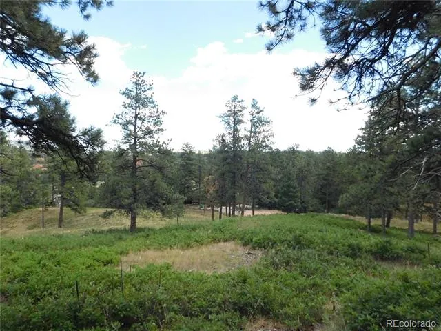8055 Acoma Drive Larkspur, CO 80118
