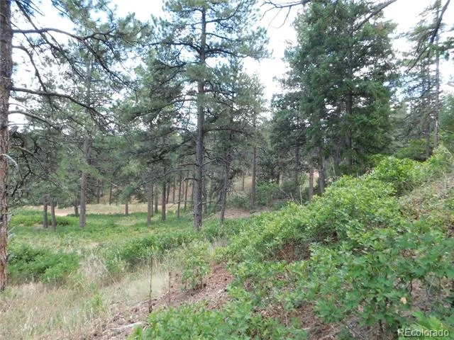 8055 Acoma Drive Larkspur, CO 80118