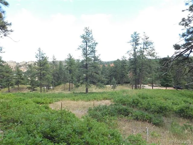 8055 Acoma Drive Larkspur, CO 80118