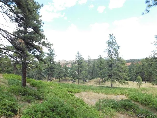 8055 Acoma Drive Larkspur, CO 80118
