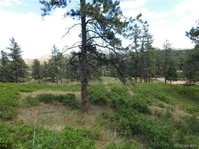 8055 Acoma Drive Larkspur, CO 80118