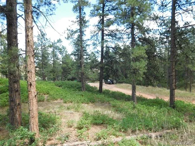 8055 Acoma Drive Larkspur, CO 80118