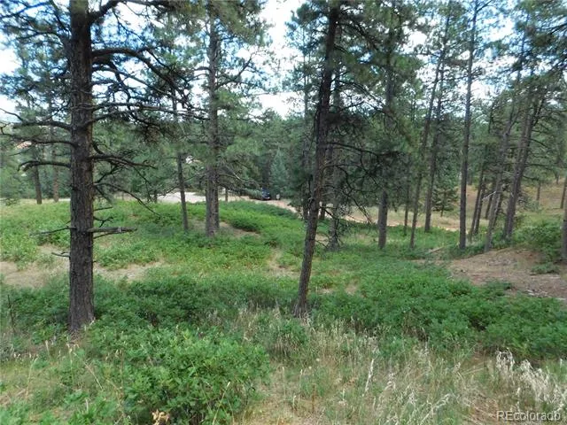 8055 Acoma Drive Larkspur, CO 80118