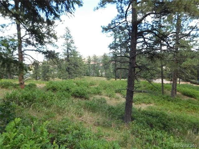 8055 Acoma Drive Larkspur, CO 80118