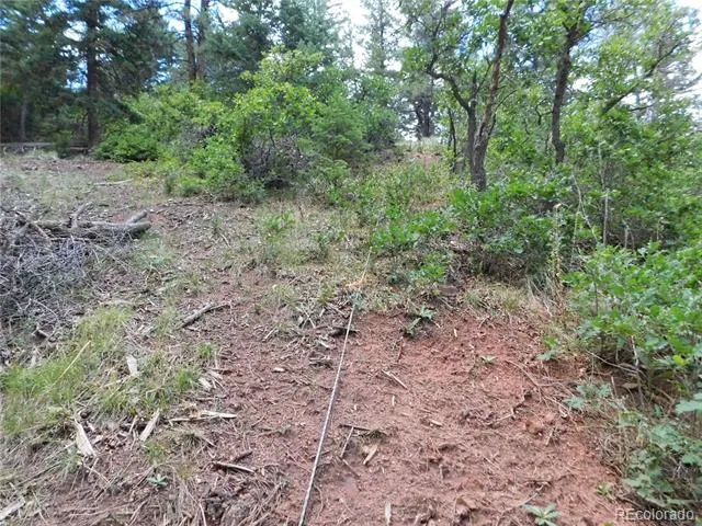 8055 Acoma Drive Larkspur, CO 80118