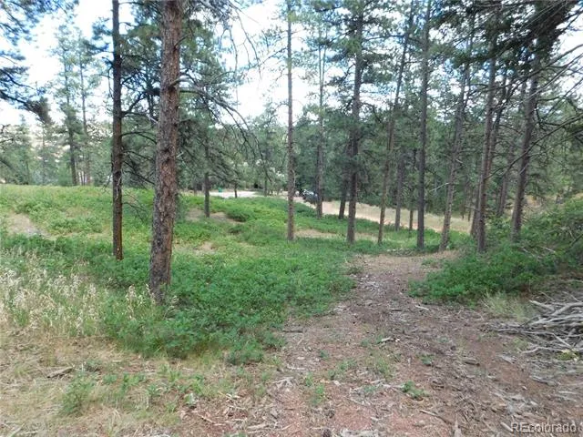 8055 Acoma Drive Larkspur, CO 80118